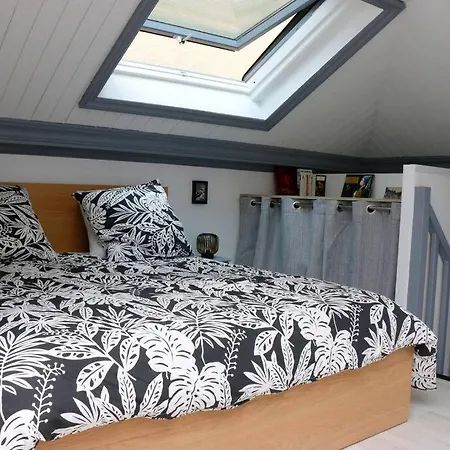 Duplex Cosy Au Calme à 50m De La Appartement