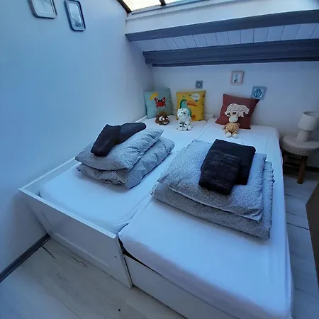 Duplex Cosy Au Calme à 50m De La Appartement *