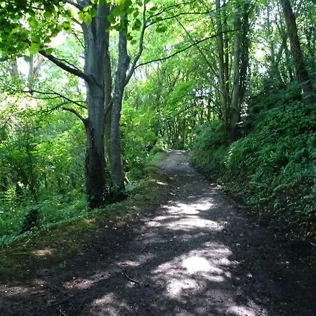 Duplex Cosy Au Calme A 50m De La *