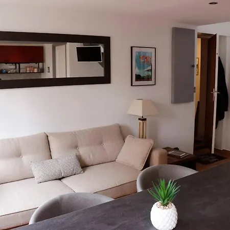 Duplex Cosy Au Calme A 50m De La Apartment *