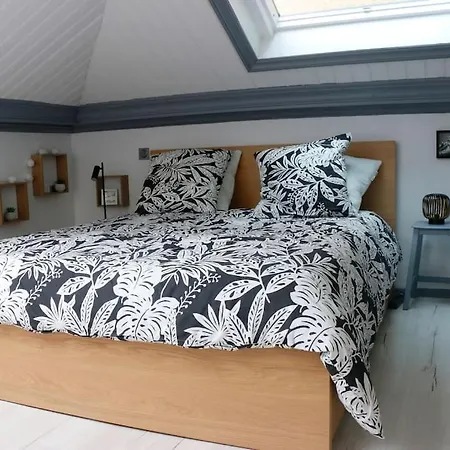 Duplex Cosy Au Calme A 50m De La Apartment *