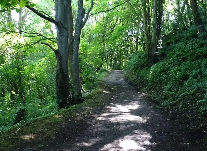 Duplex Cosy Au Calme A 50m De La *